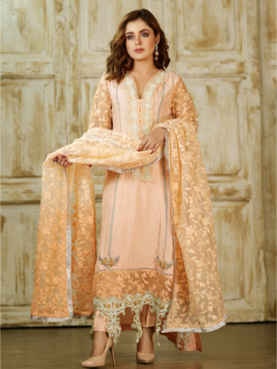 Peach Net shirt Dupatta with Cotton Silk slip & pants2 - Image 2