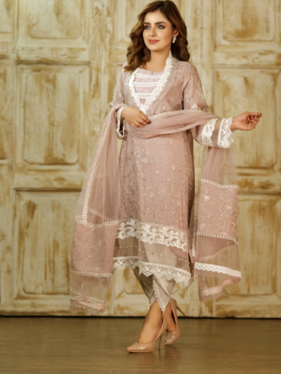 Peach Net shirt Dupatta with Cotton Silk slip - Image 2